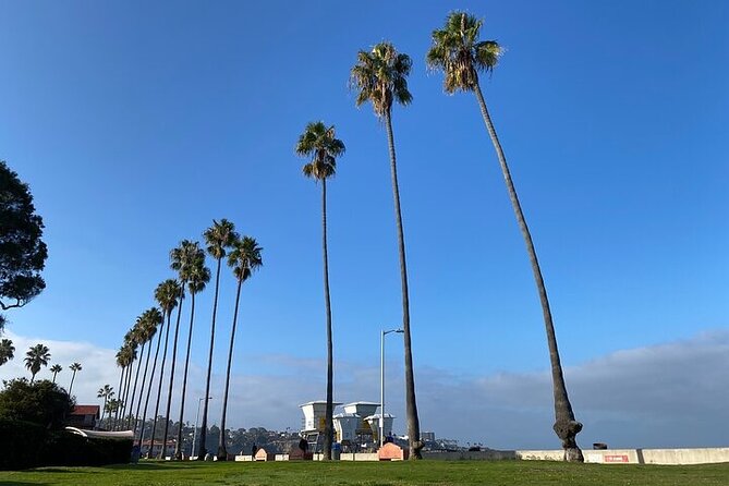 Beach Yoga in San Diego - The Optional Lavender Essential Oil Massage That Changes the Ending