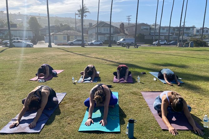 Beach Yoga in San Diego - Price and Value: Is $45 Fair for Beach Yoga in San Diego?