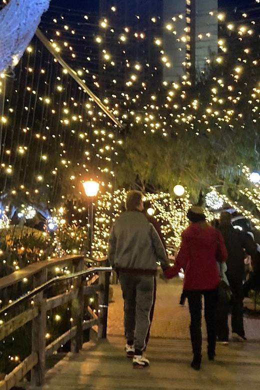 San Diego: Holiday Lights and Sights Trolley Tour - Value for $35: Is It Worth It for Your Time?