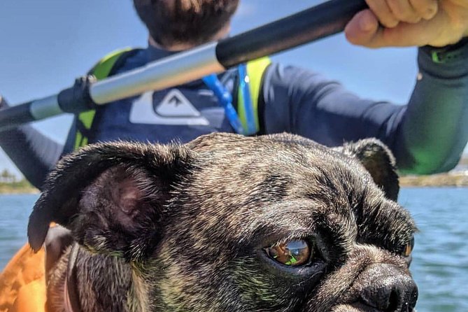 SUP Rental - What’s included, and what that really means for you